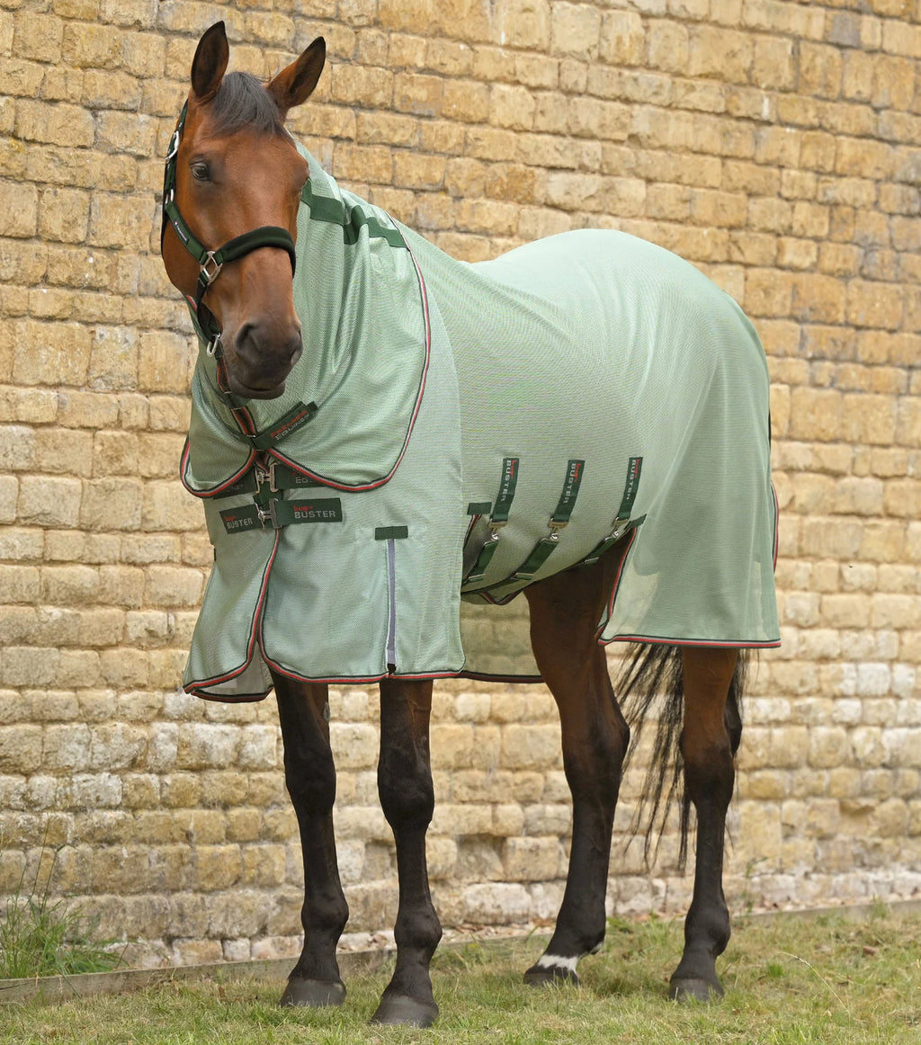 Fly sheet