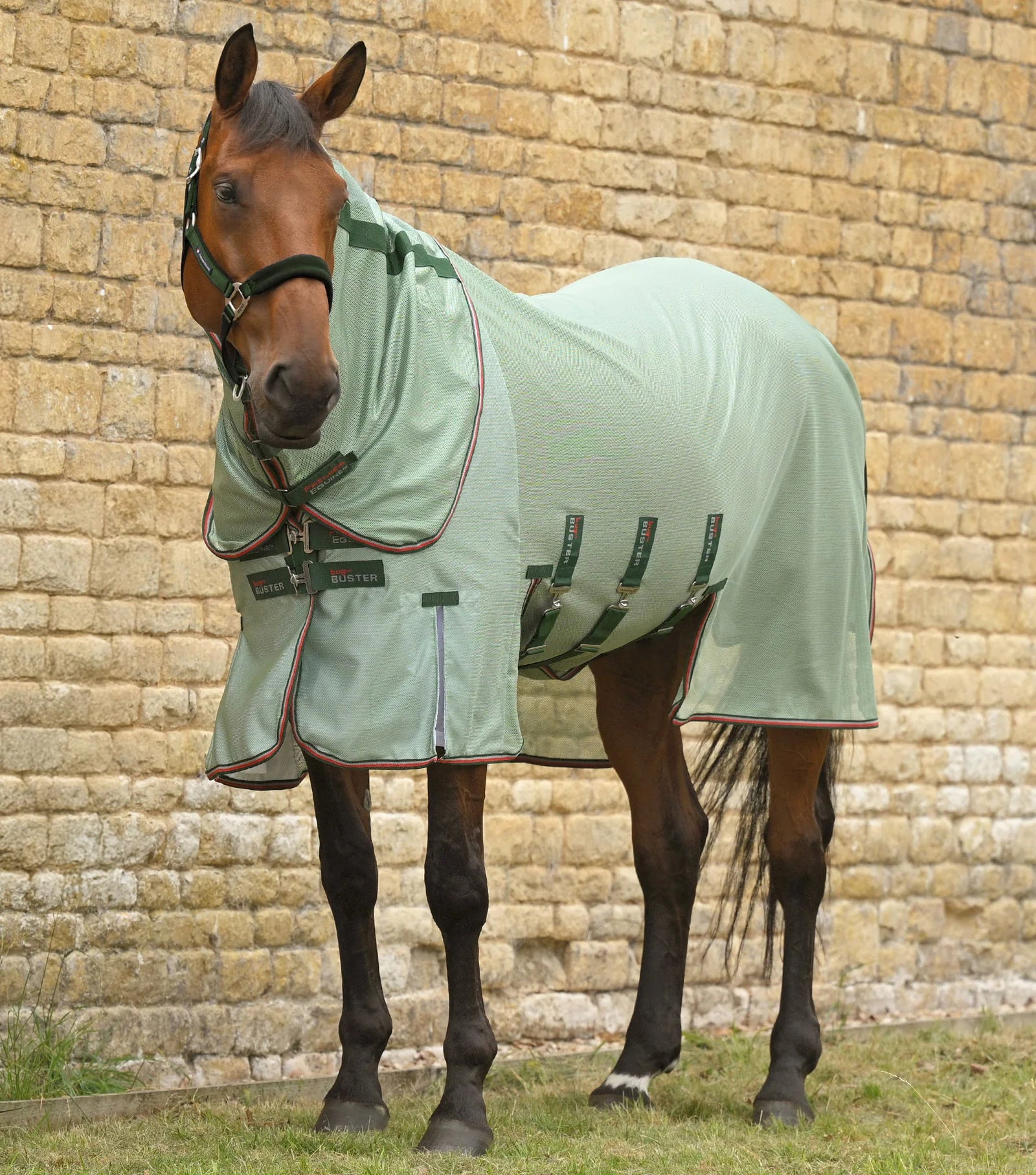 Fly sheet